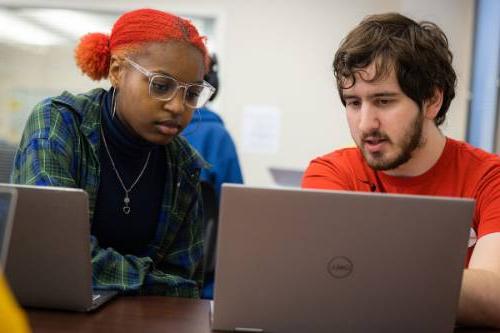 Two students looking at a laptop both focusing and communicating